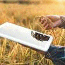 CLARO LANÇA DESAFIO PARA STARTUPS COM FOCO EM 5G PARA O AGRONEGÓCIO