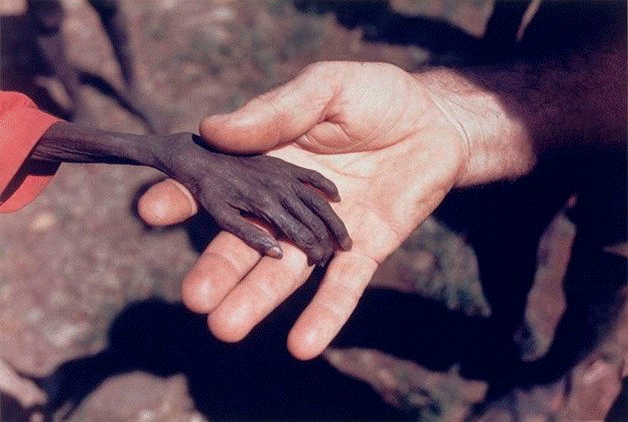 FOTOS DO DIA