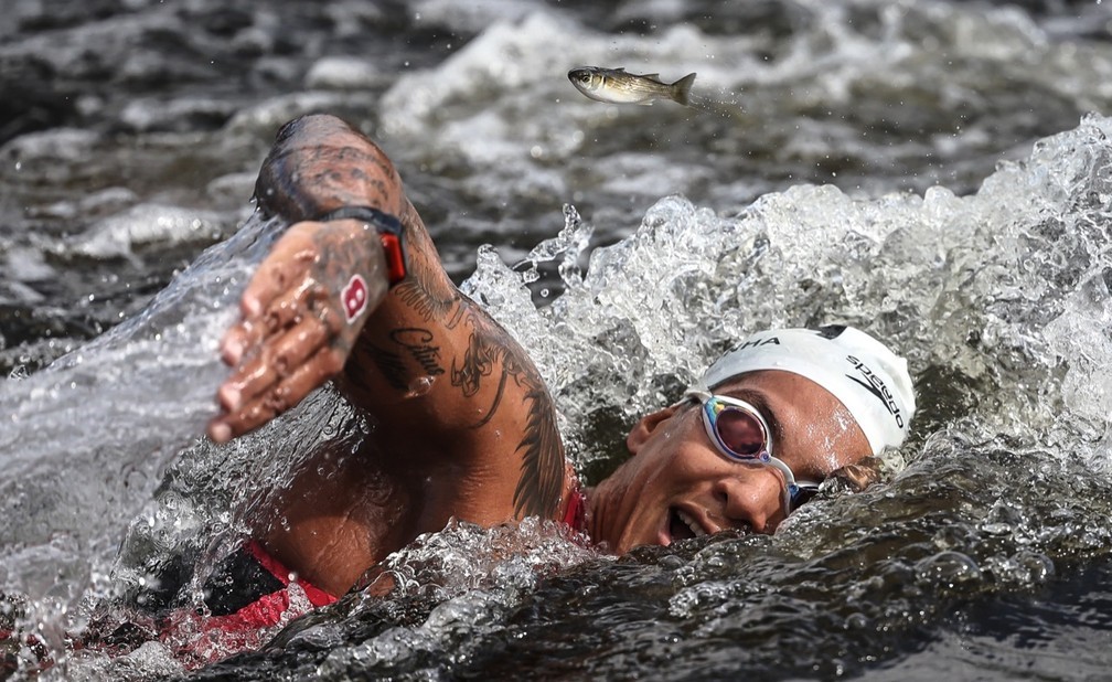 Peixe desviando da Ana Marcela pra não ser atropelado pelo ouro do Brasil