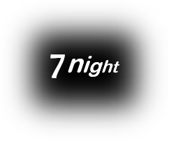 7 night